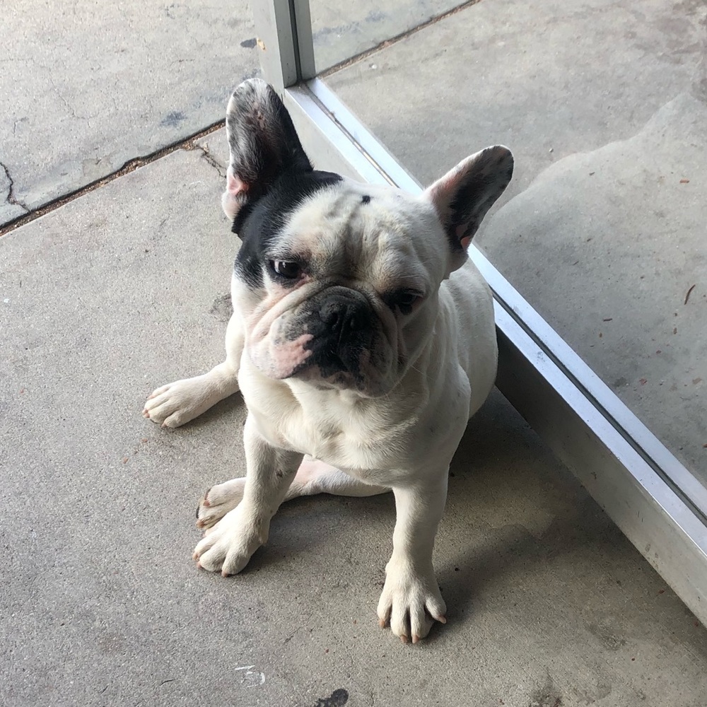 Meet your Posher, Kristin